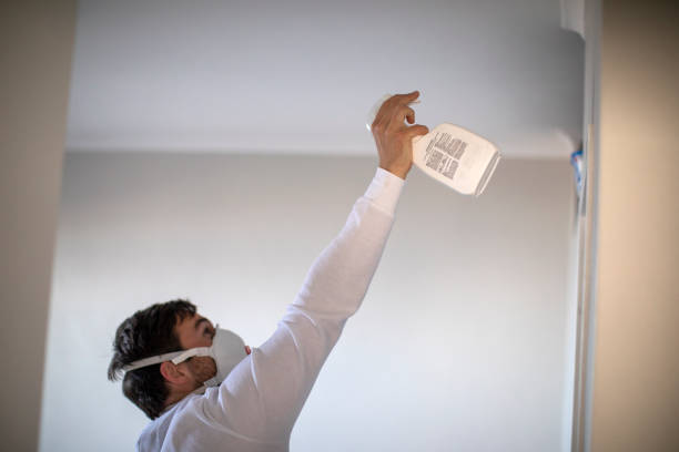 Best Black Mold Remediation in Ack, NY
